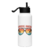 Spring Broke - Stainless steel water bottle with a straw lid - Image 3